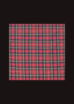 Herren Luis Trenker Einstecktuch Mit Karomuster Luedelbert