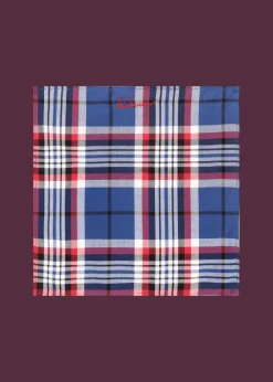 Herren Luis Trenker Einstecktuch Mit Karomuster Luedelbert